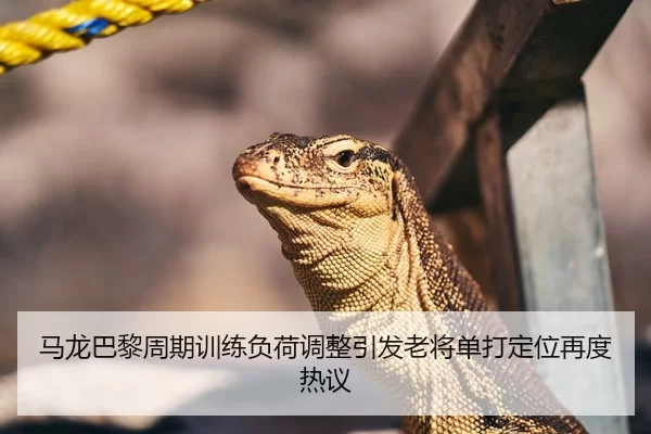 马龙巴黎周期训练负荷调整引发老将单打定位再度热议