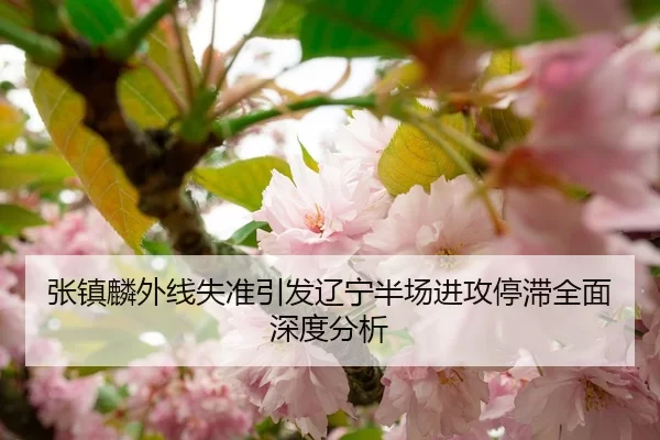 张镇麟外线失准引发辽宁半场进攻停滞全面深度分析