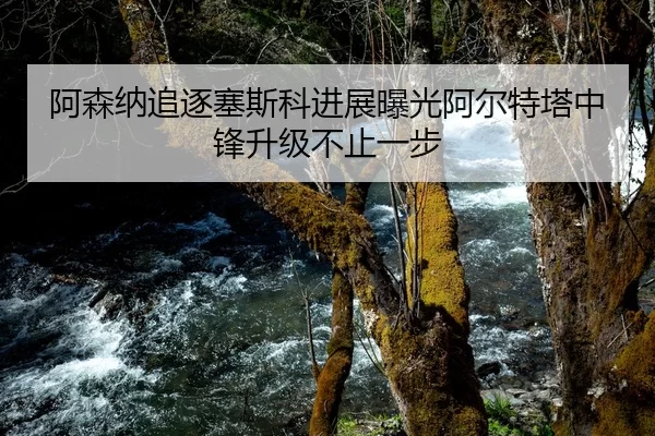 阿森纳追逐塞斯科进展曝光阿尔特塔中锋升级不止一步