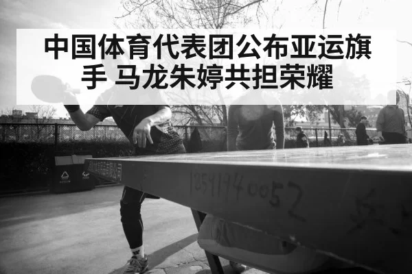 Ma Long table tennis player